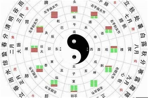 金木水火土查询|五行查询,五行缺什么查询,生辰八字五行查询,出生时辰五行查询